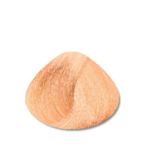 STAPIZ - Cor Louro Platina e Reflexos Color Art Desírée c/ Keratina & Ceramidas 100ml 10.04